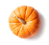 Pumpkin Icon