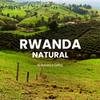 Rwanda Natural Coffee