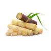 Sugar Cane Icon