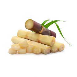 Sugar Cane Icon