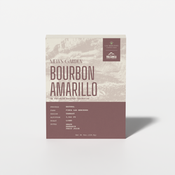 Costa Rica Yellow Bourbon Natural – Finca Las Mercedes