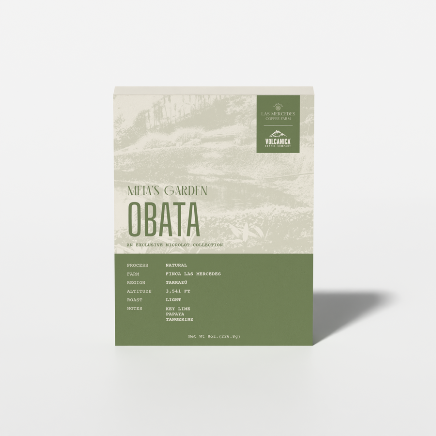 Costa Rica Obata Natural – Finca Las Mercedes