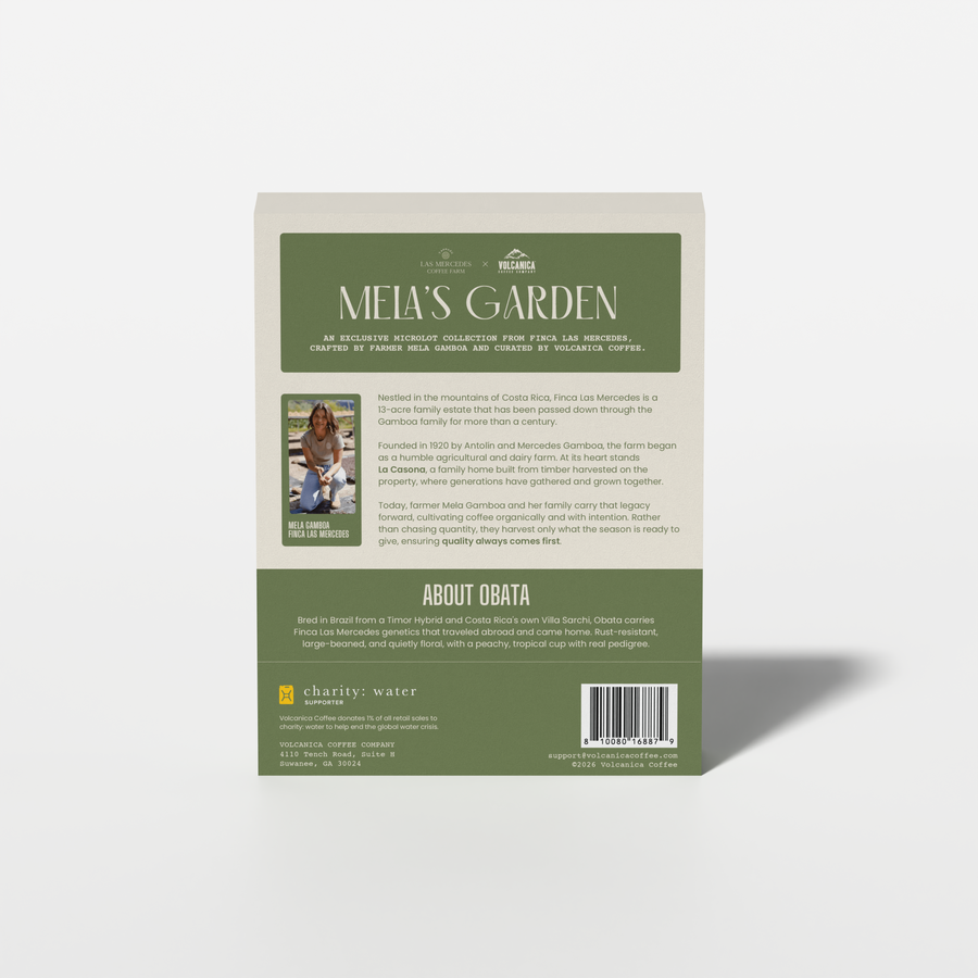 Costa Rica Obata Natural – Finca Las Mercedes