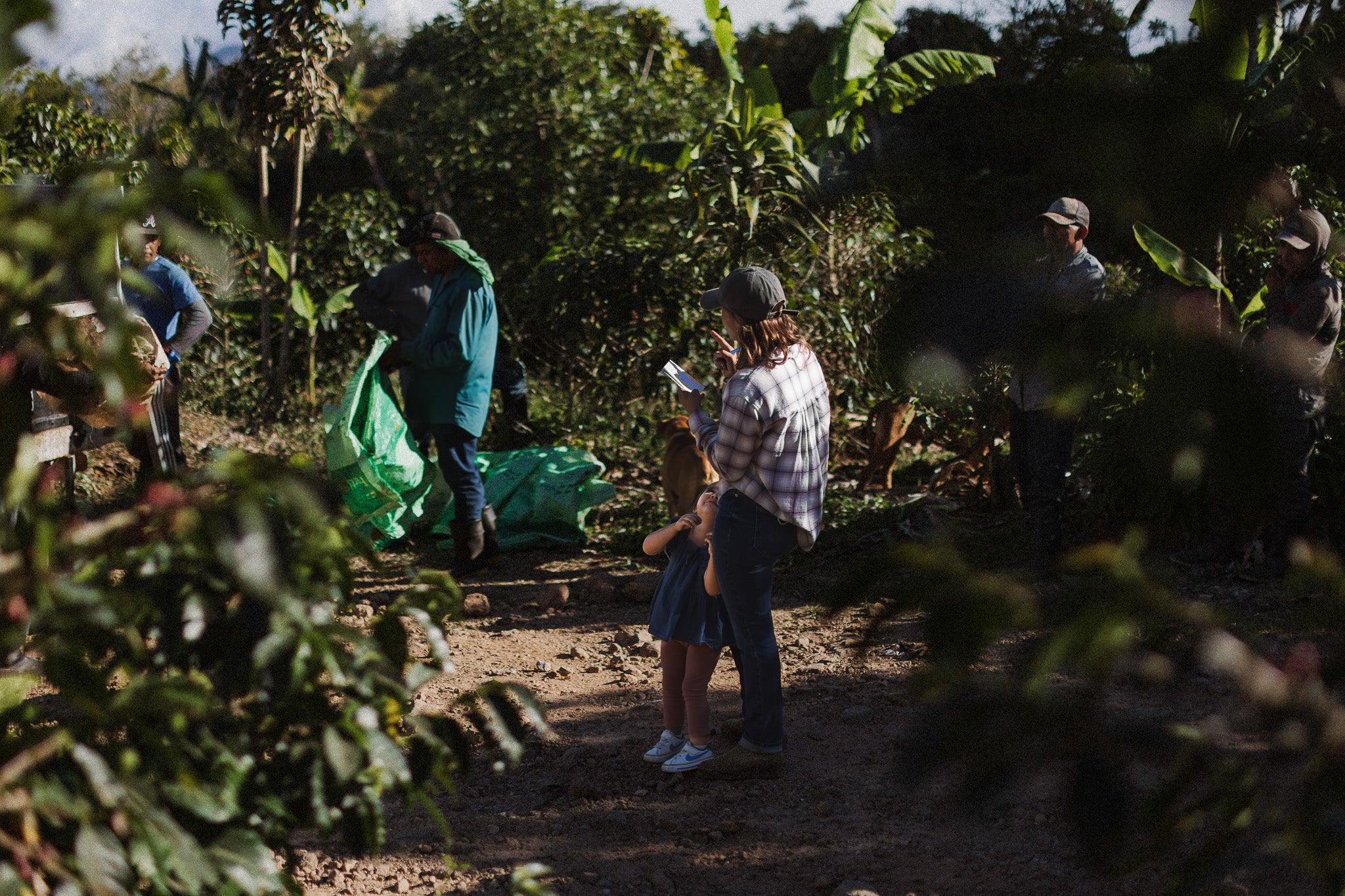 GIVE MOM THE PERFECT GIFT OF GREAT COFFEE