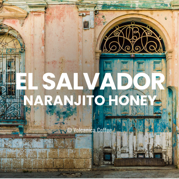 El Salvador Coffee, Bourbon Honey, Finca Naranjito