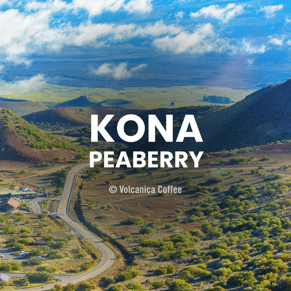 Kona Peaberry Coffee