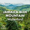 Jamaican Blue Mountain Coffee Beans - Wallenford