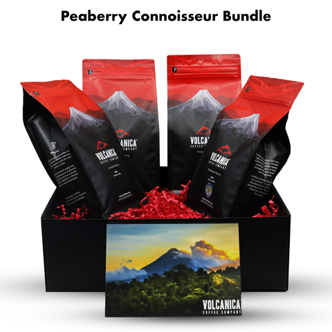 Peaberry Coffee Connoisseur Gift Box - Volcanica Coffee