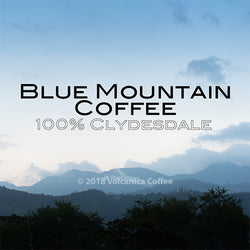 Deluxe World Traveler Coffee Gift Box