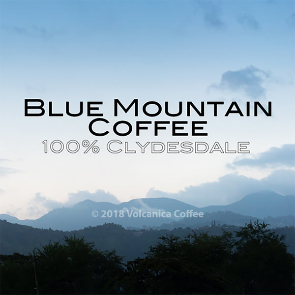 Deluxe World Traveler Coffee Gift Box