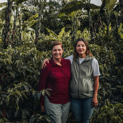 Costa Rica Coffee, Finca Las Mercedes, Natural Process - Volcanica Coffee