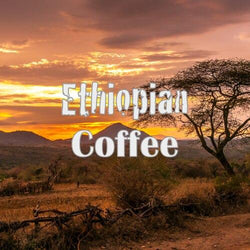 Signature Coffee Bundle - Volcanica Coffee