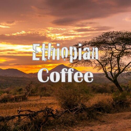 Signature Coffee Bundle - Volcanica Coffee