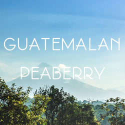 Exotic Peaberry Coffee Gift Box - Volcanica Coffee