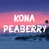 Hawaiian Kona Coffee Bundle, 2 Pack - Volcanica Coffee