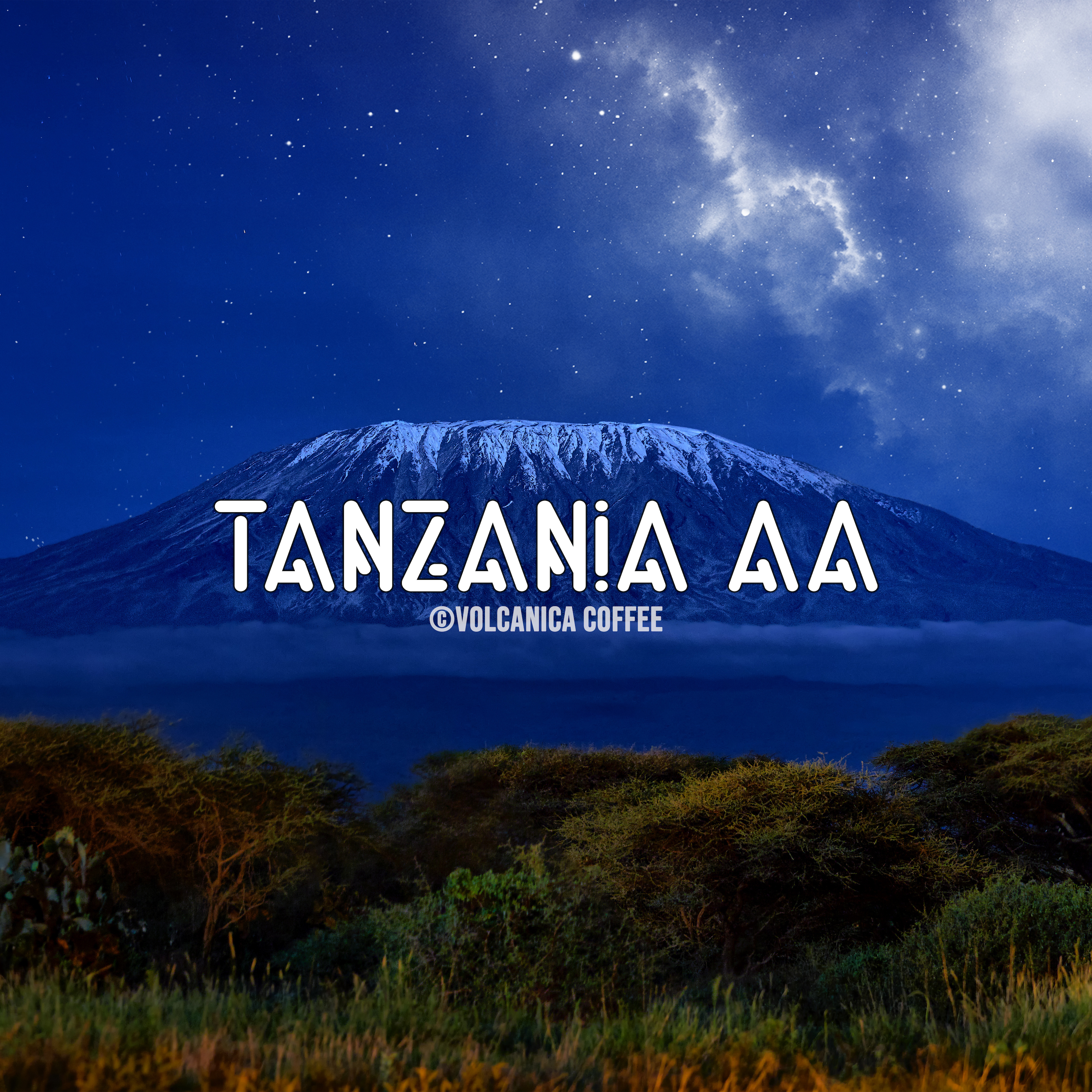 Tanzania AA Coffee