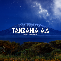 Tanzania AA Coffee - Volcanica Coffee