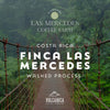 Costa Rica Coffee, Finca Las Mercedes, Washed Process - Volcanica Coffee