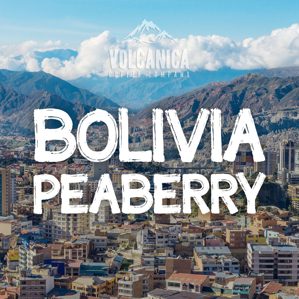 Bolivia Peaberry Coffee