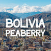 Bolivia Peaberry Coffee