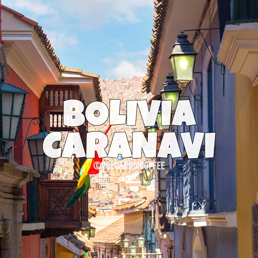 Bolivia Coffee Caranavi