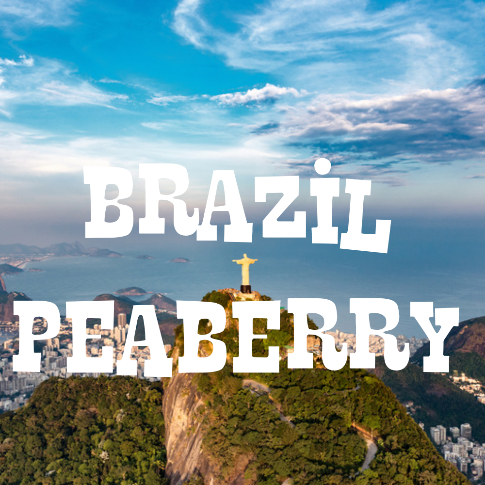 Brazil Peaberry Coffee