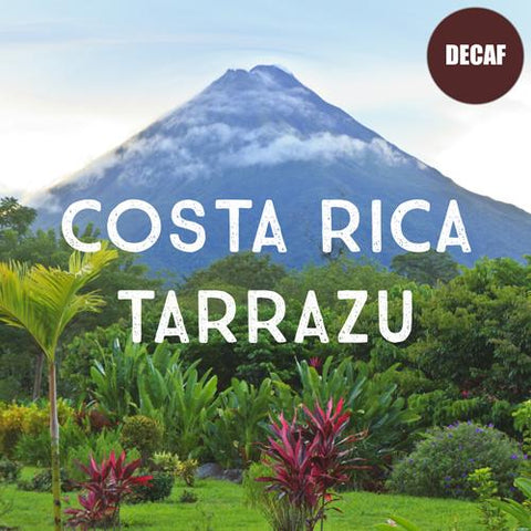 Decaf Costa Rica Coffee