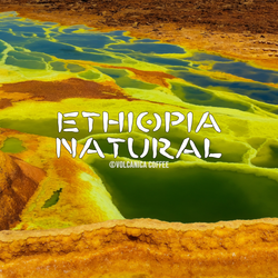 Ethiopia Natural Coffee