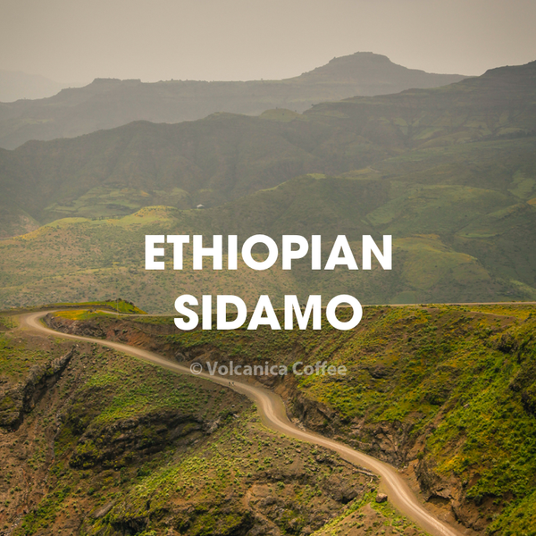 Ethiopia Sidamo Coffee