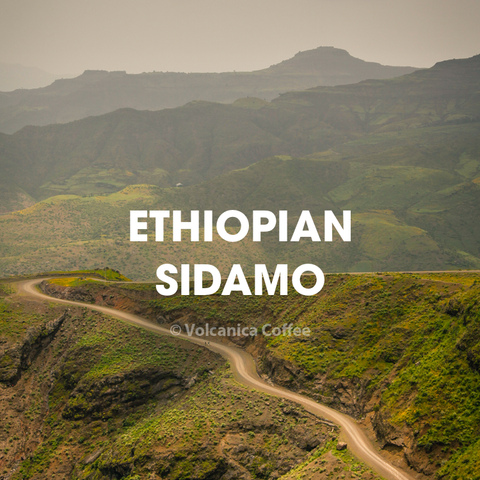 Ethiopia Sidamo Coffee