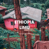 Ethiopian Limu Coffee