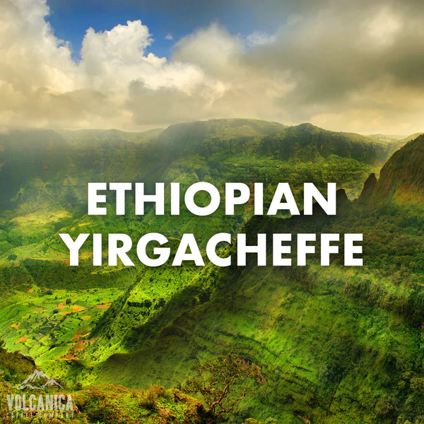 Ethiopian Yirgacheffe Coffee