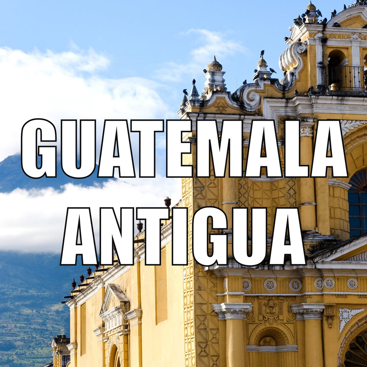 Guatemala Antigua Coffees