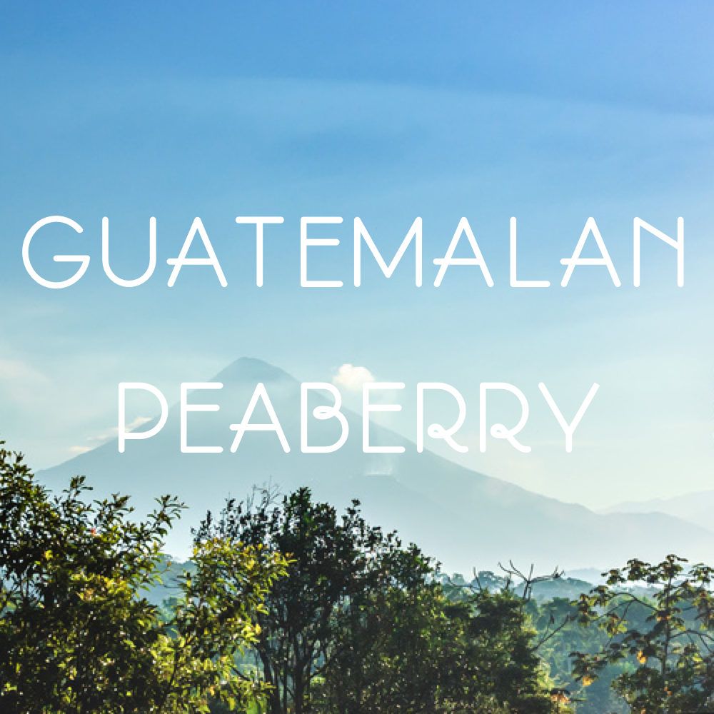 Guatemala Peaberry Coffee