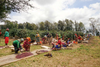 Tanzania AA Coffee - Volcanica Coffee