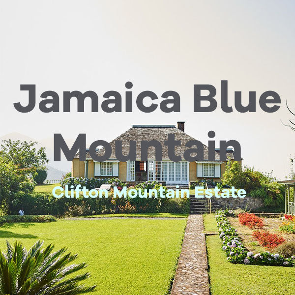 Jamaica Blue Mountains Coffee Roasters Gift Box - Volcanica Coffee