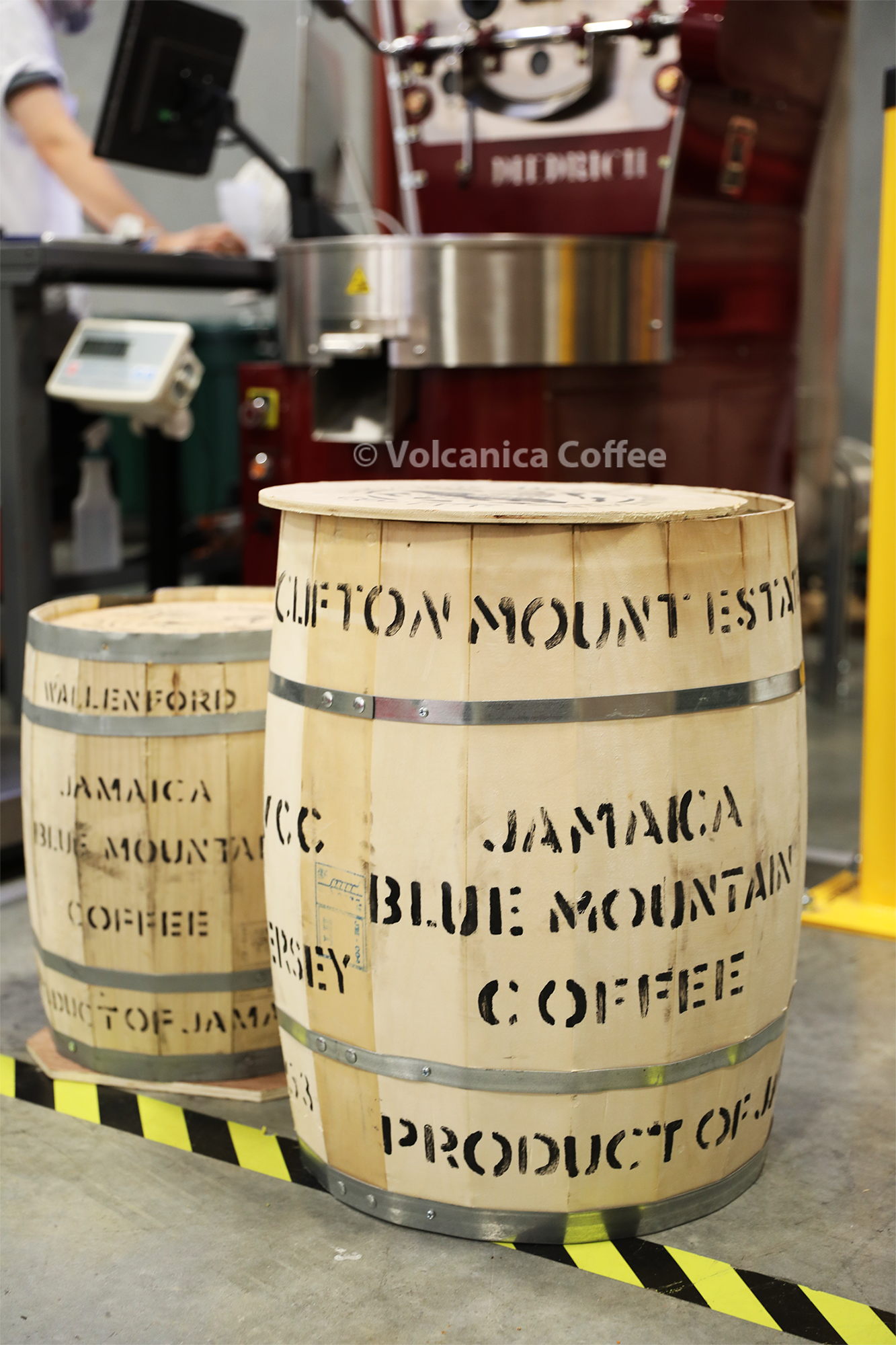 Jamaican Blue Mountain Coffees Bean Wallenford