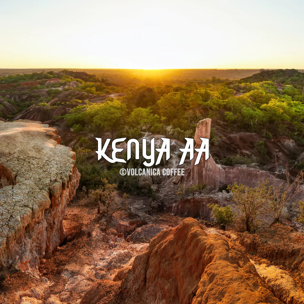 Kenya AA Coffee	
