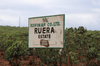 Kenyan Natural Process Coffees	