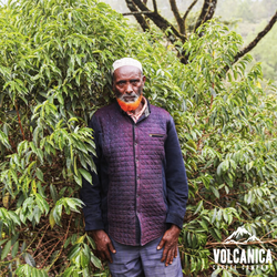 Ethiopia Natural Coffee