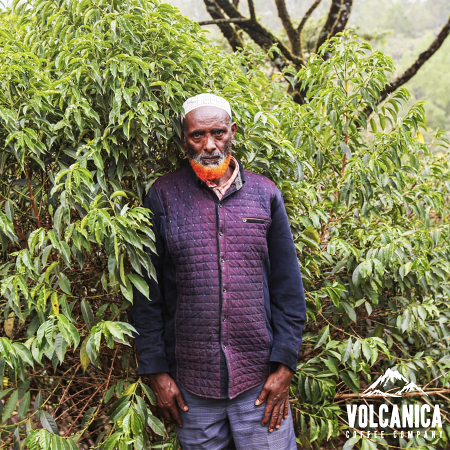 Ethiopia Natural Coffee