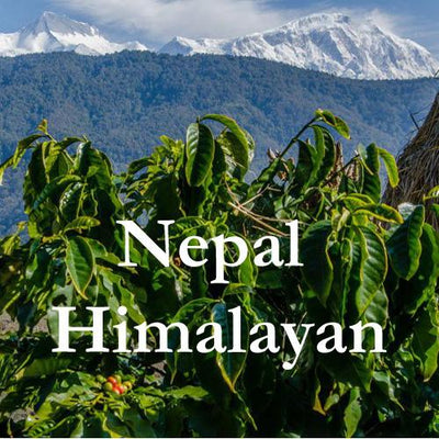 Nepal Coffee