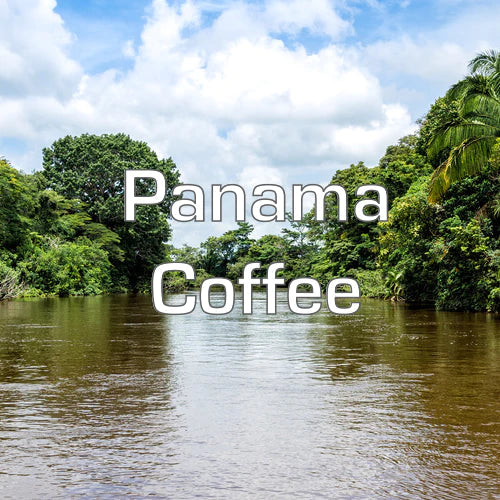 Panama Coffee