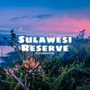 sulawesi coffee