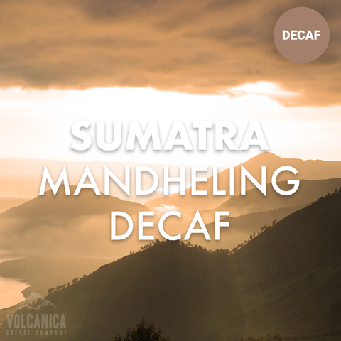 Sumatra Decaf Coffee Mandheling