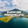 Sumatra Mandheling Coffee