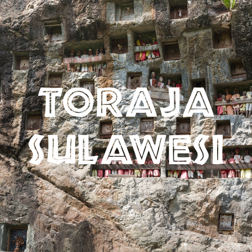 Toraja Sulawesi Coffee White Eagle