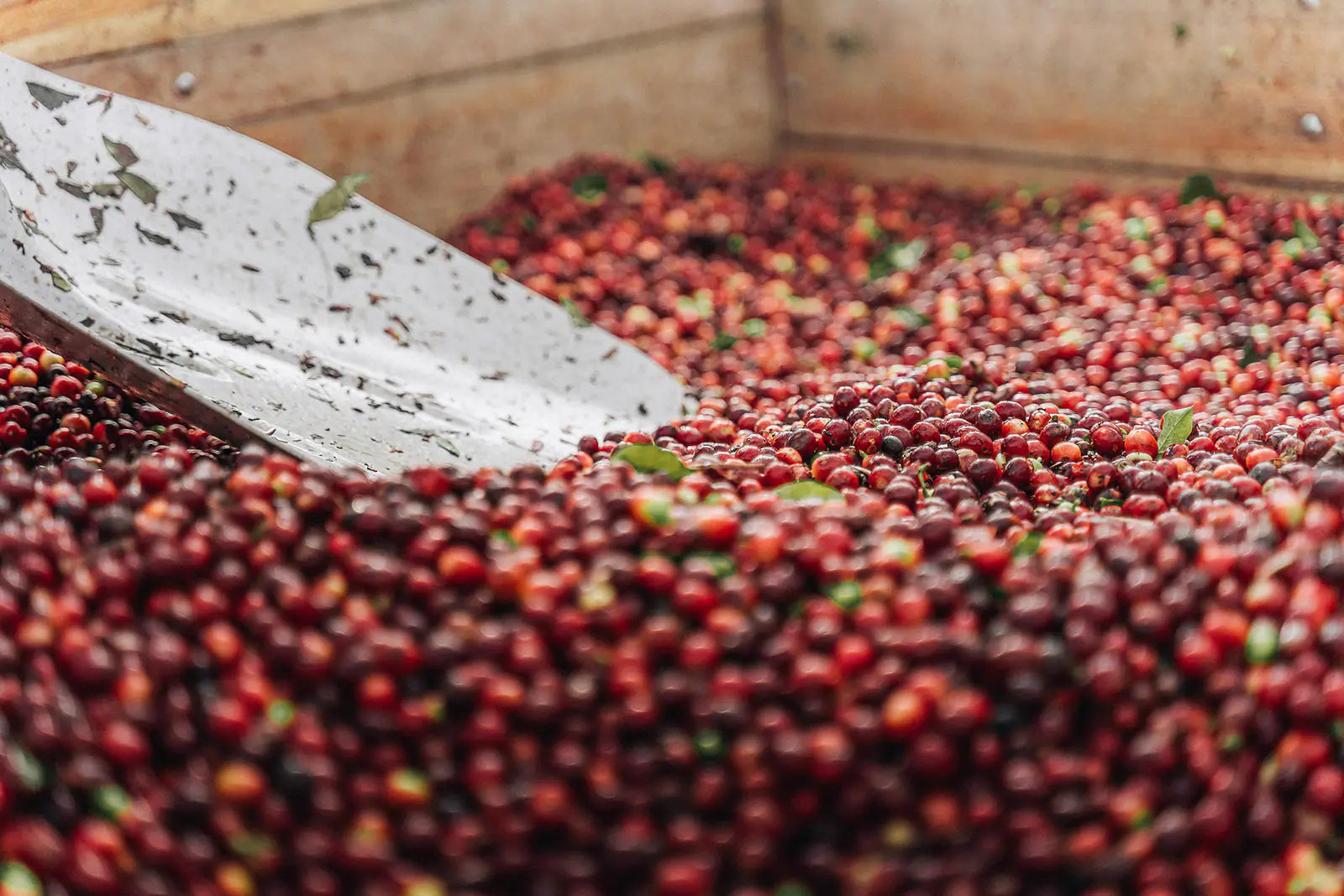 Short Blog Background